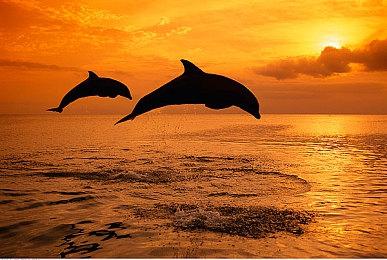 《赛博朋克2077：往日之影》媒体评分9月20日解禁 PS5版24日开始预载