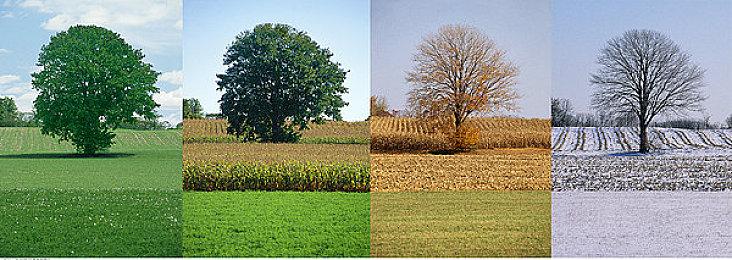 《出境幽灵：重生版》明年发售 原版拥有者获免费升级