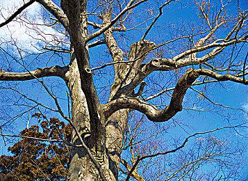 微软巴西透露：Xbox Series X|S已售出2100万台